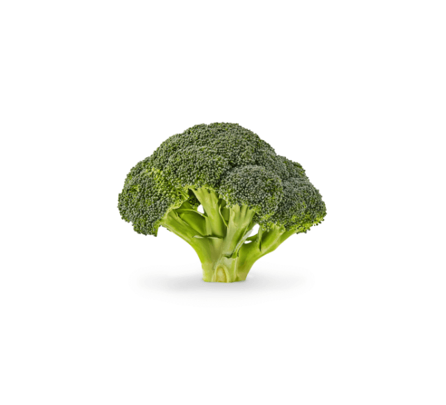 Organic Broccoli - Borobazar Modern