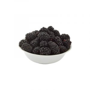 Organic Blueberries Package